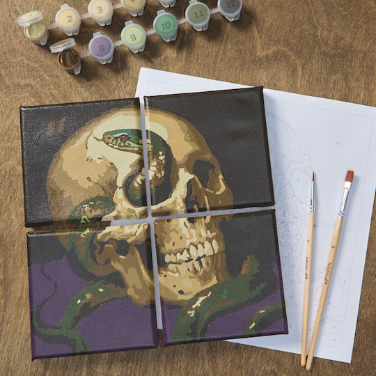 Skull & Snake Paint-by-Number Gallery Mini Kit by Artist's Loft®